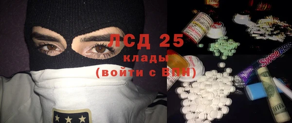индика Вязники