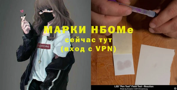 индика Вязники