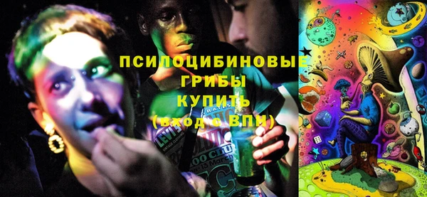 индика Вязники