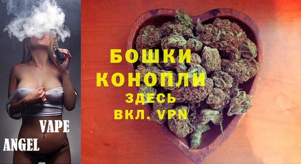 индика Вязники