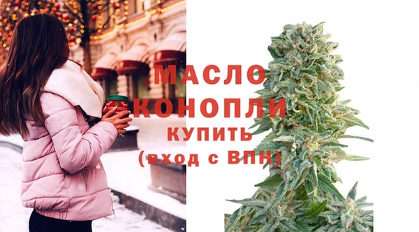 индика Вязники