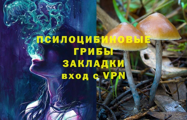 круглые Вязьма