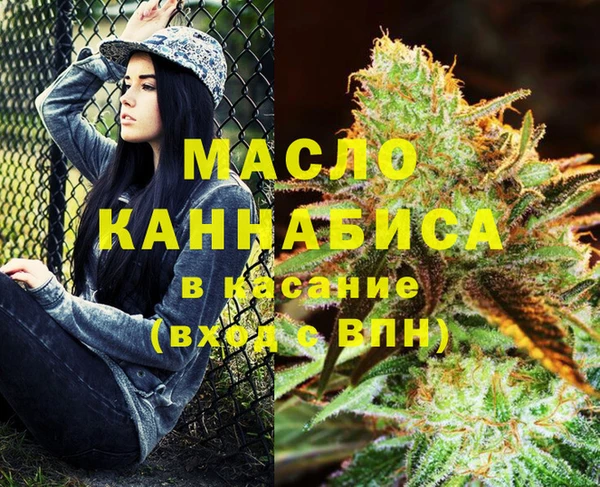 индика Вязники
