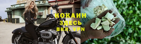 индика Вязники