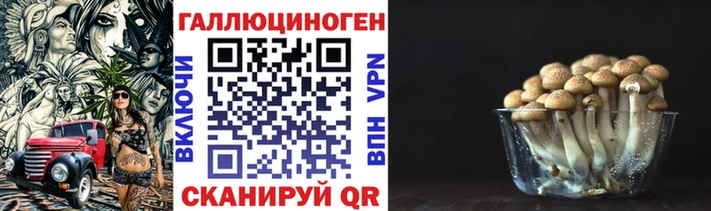 Галлюциногенные грибы MAGIC MUSHROOMS MEGA как войти Нальчик